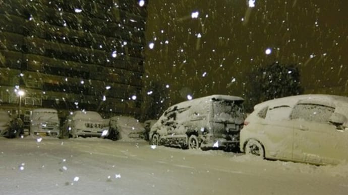 明日は大正琴のレッスンです～駐車場の雪かきをしました