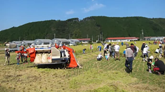 司牡丹 純米酒 日土人 生酒 2025!