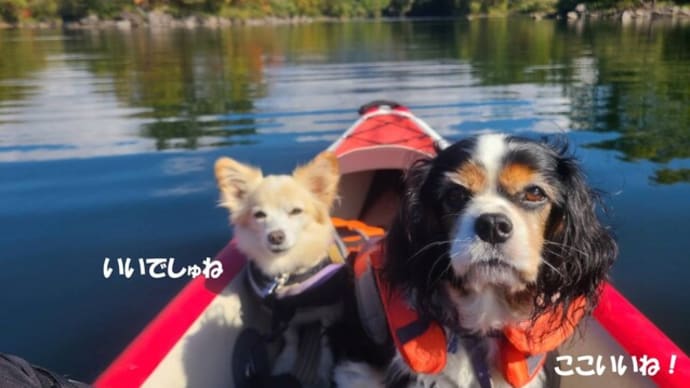 よかったね~😊「桧原湖」カヤック~福島 裏磐梯・会津旅行③