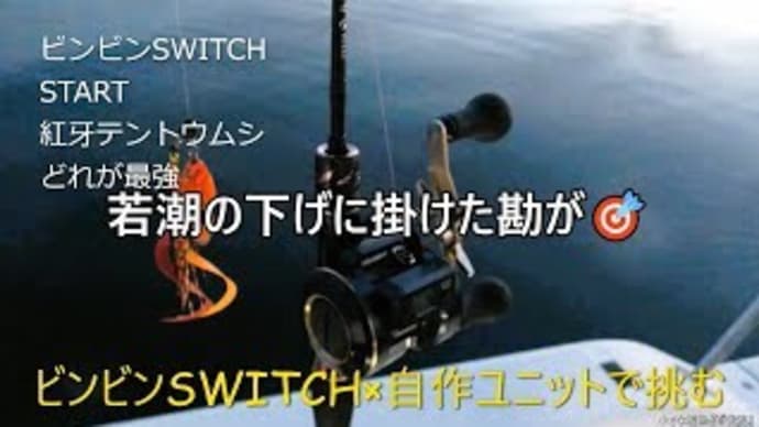 船長としての意地と釣り師達のやる気スイッチが嚙み合った🎣ビンビンSWITCHとSTARTでハイリターン🎣続いたのは意外なあのアイテム🤔『落せば釣れるからもう帰りましょう』って…初めて聞いた(笑)