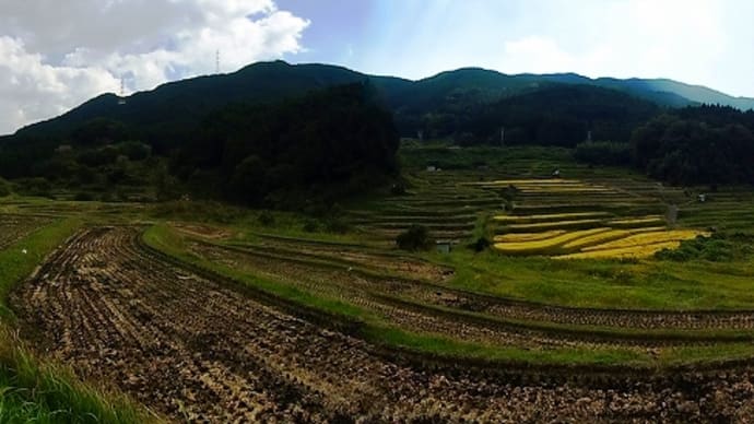 初瀬(はせ)の棚田