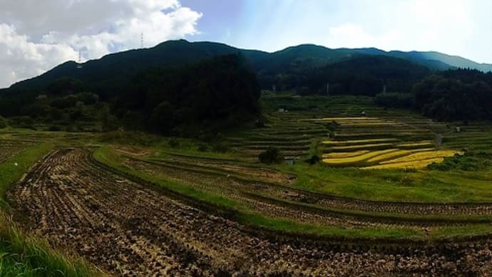 初瀬（はせ）の棚田