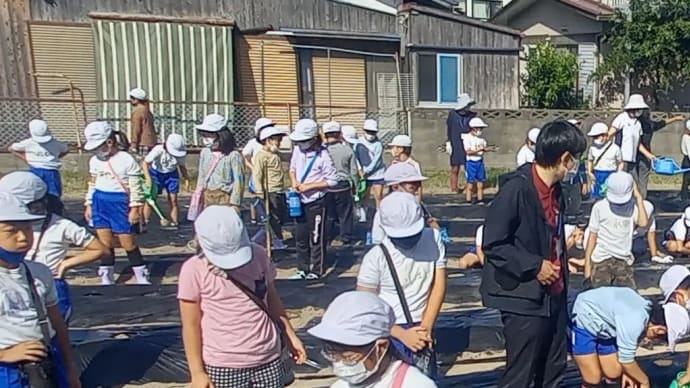 小学校で食農教育のお手伝い
