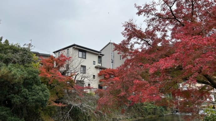 京都や関西の紅葉ほかの旅（2023年11月）（15）（Day3-9）