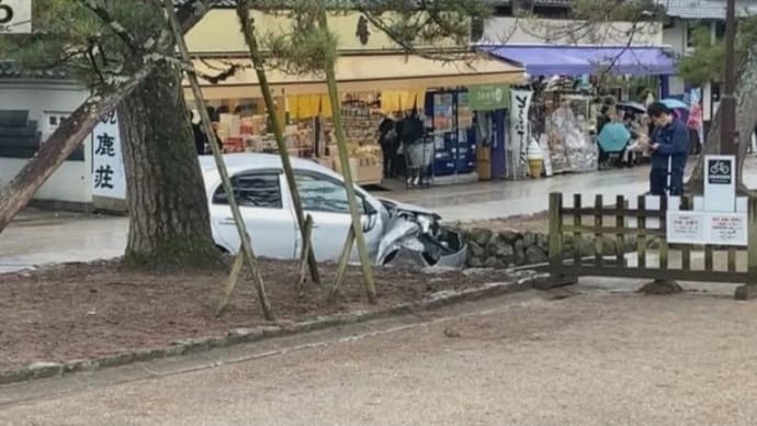 奈良の東大寺の参道で馬鹿ジジイが乗用車で歩行者2人を轢いて1人を※殺害