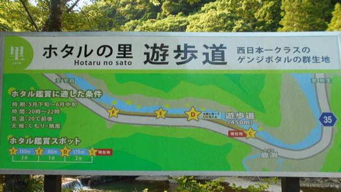 源氏ボタルの乱舞 ! 「ホタルの里」 本匠・佐伯市・大分県