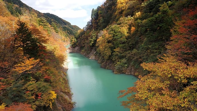 ★帰りに撮影した北葛沢が一段と綺麗だった🍁🍂🌿 2023