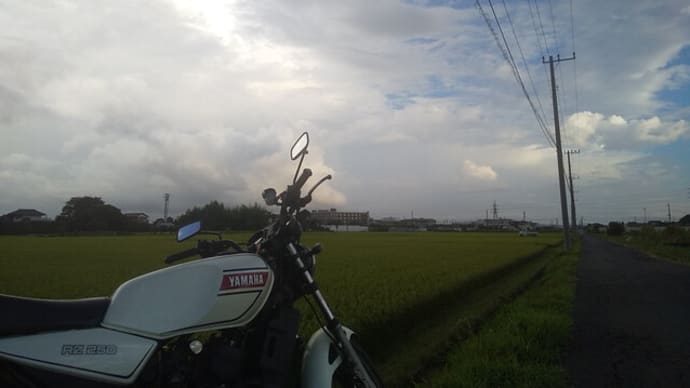 虹の下は雨
