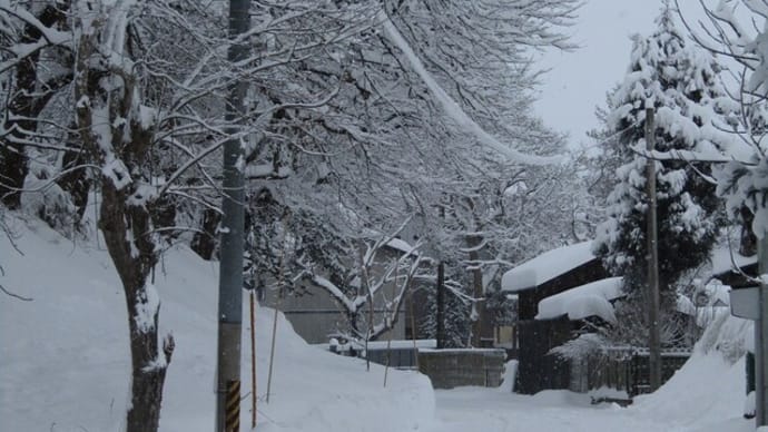 本格的な雪降りに。。。