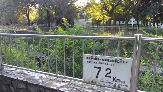 さて困った