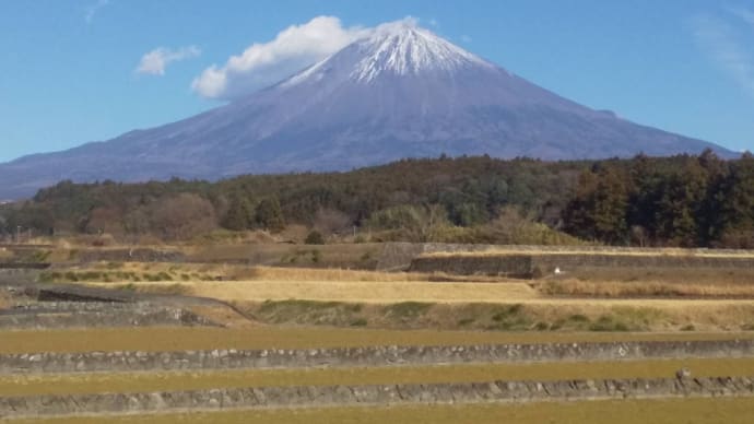 今年も喜ばれるサービスを