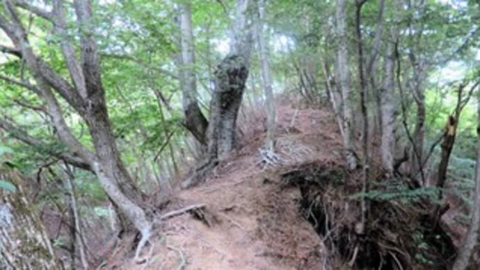 甲州街道を歩く( 26-3:黒野田・笹子峠②)(山梨県大月市) 2021.6.12