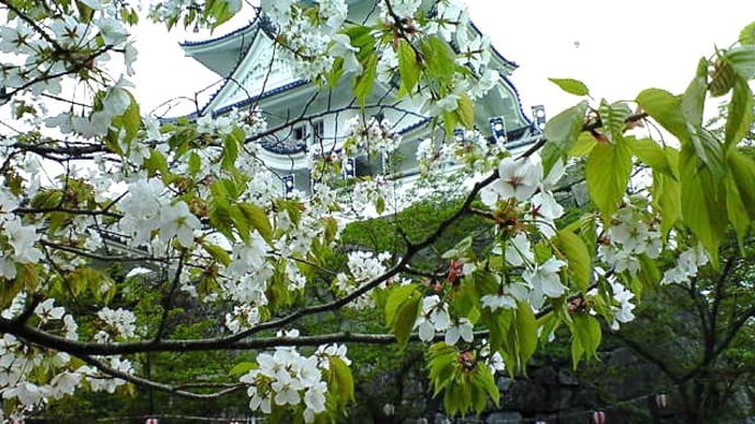 私のふるさとって、どこ?