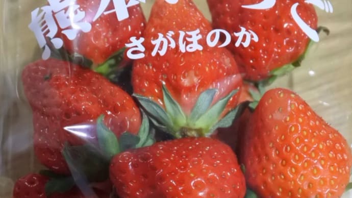今週の営業日~くまモン元気になあれ!