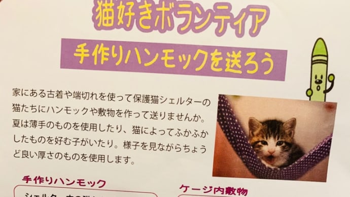 猫好きボランティア