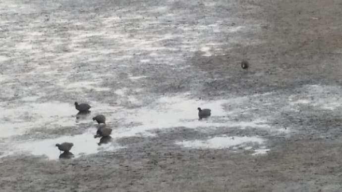 北方水滸伝 9~10