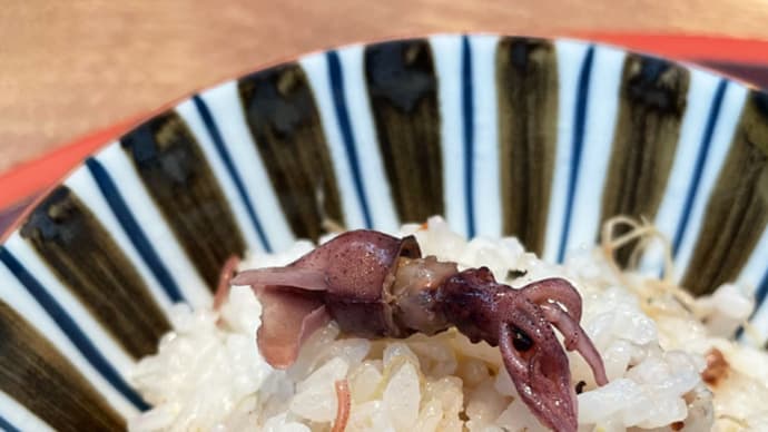 日本料理 さむらい@福山市「季節の懐石料理」
