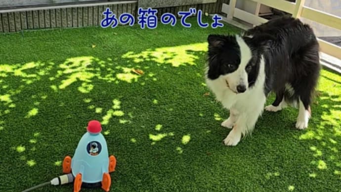 空飛ぶロケットDE水遊び