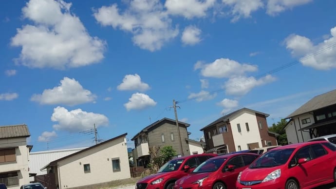 毎日暑いですね☀️
