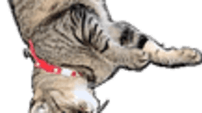 色分け