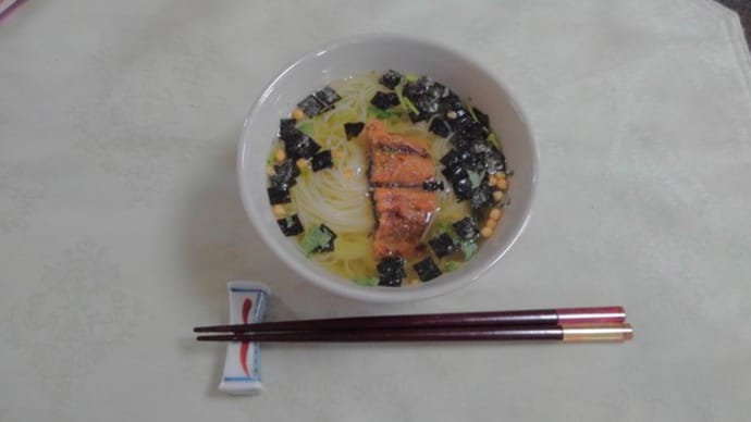 素麵でお茶漬け