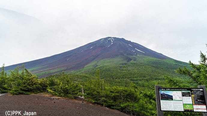 ２０２１　６月の富士山北麓歩き・その１