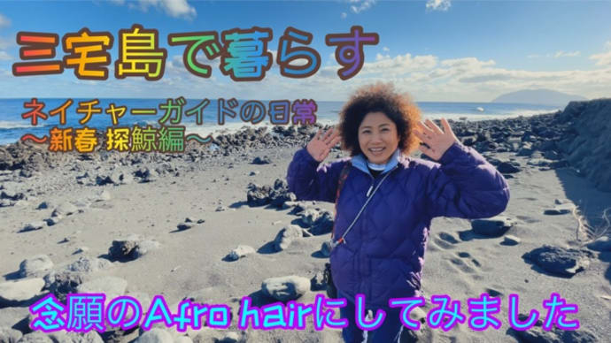 ネイチャーガイドの日常〜新春探鯨編〜