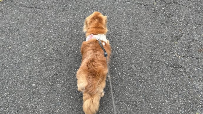 食べる前から・・・