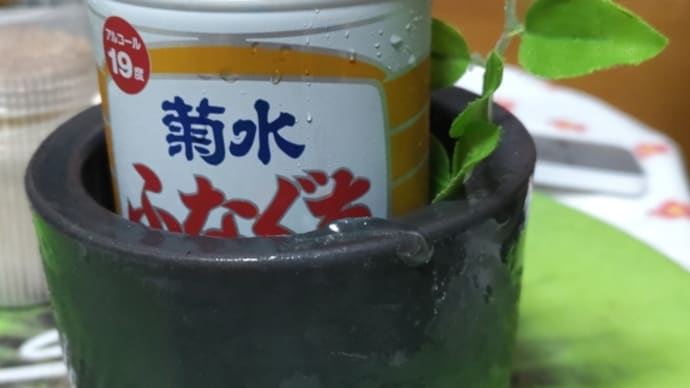 久し振りに出してみる