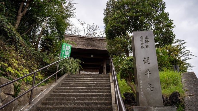 ここにも鎌倉が!【金沢八景】朝の散歩でみた平潟湾