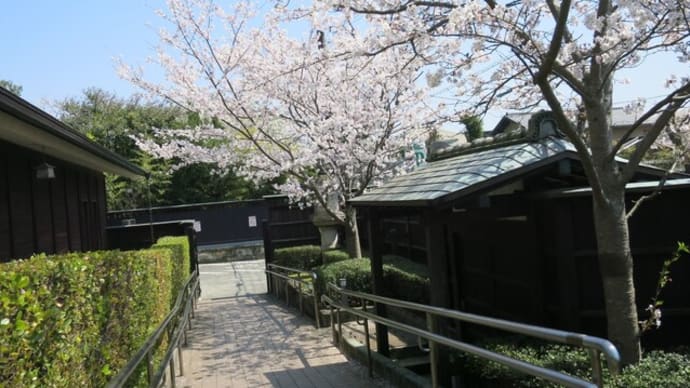 鎌倉散歩~寺社巡り・浄光明寺