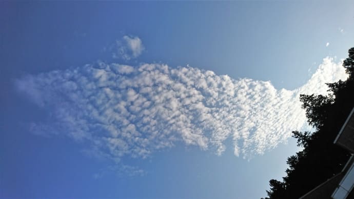 悪魚っぽい雲20190930