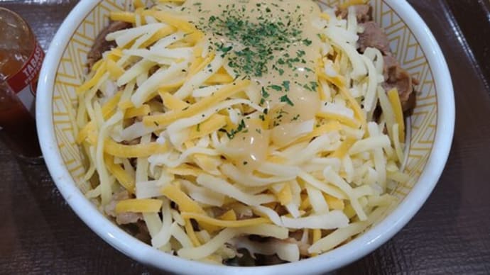 怪しい奴