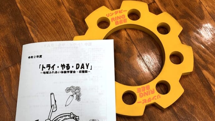 西高津中の「トライ・やる・DAY」でリングビー