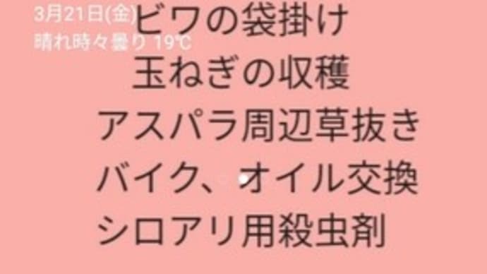 もう忘れない!