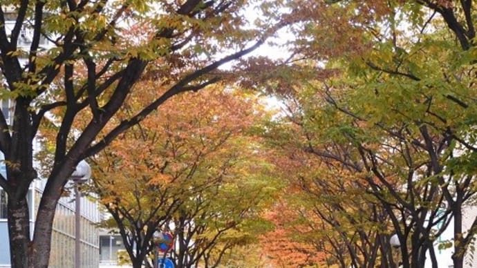 街を歩けば・・・。