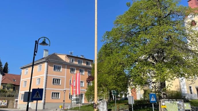 マイバウム Maibaum