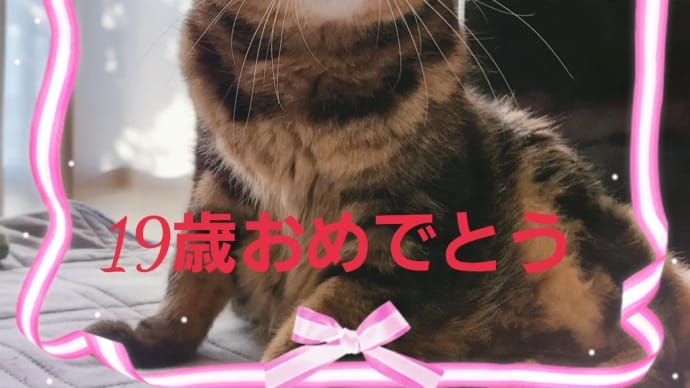 19歳のお誕生日です。