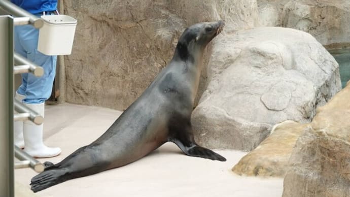 20230714 いしかわ動物園