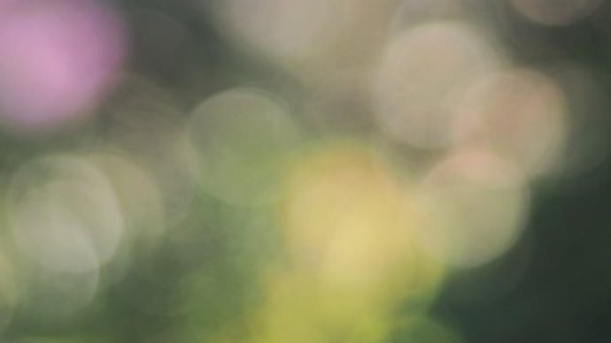かさなる