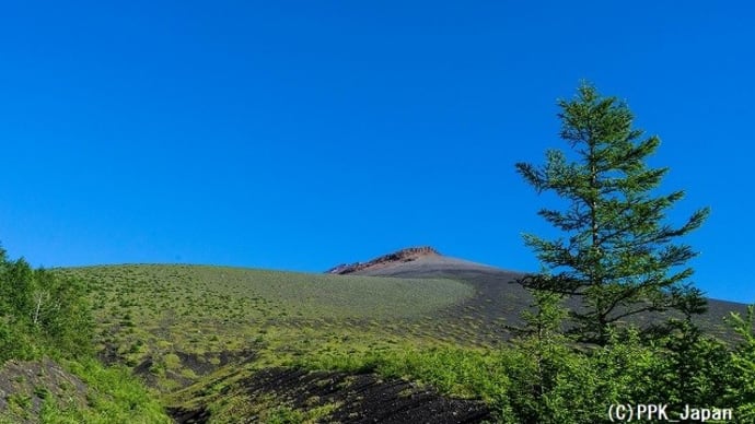 2020 7月の避暑山行・梅雨の晴れ間