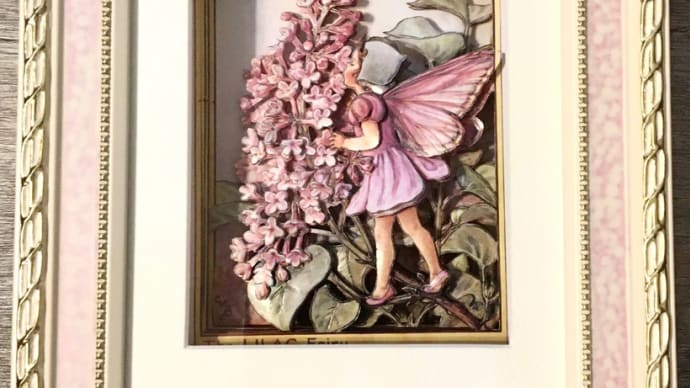 The LILAC Fairy シャドーボックス