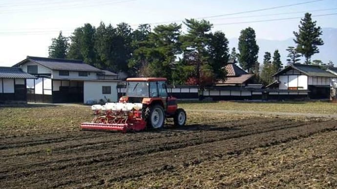 秋の棚田と紅葉を巡る旅(長野県・豊科町の「屋敷林」)