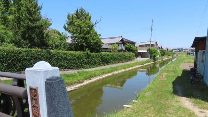 賣太神社とレモンの花