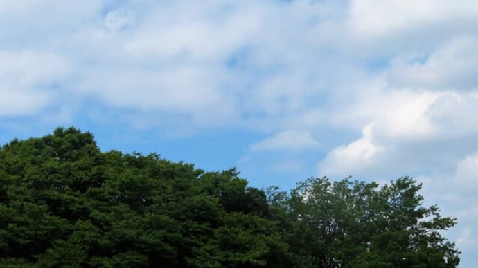 9月最初の日曜日です♪