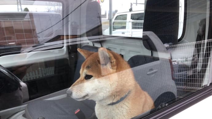 謙信くん