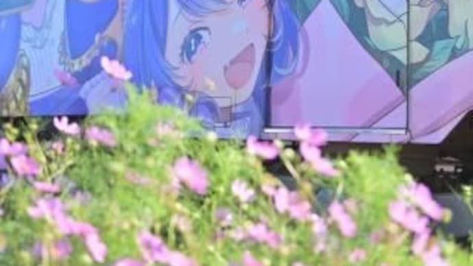 秋桜