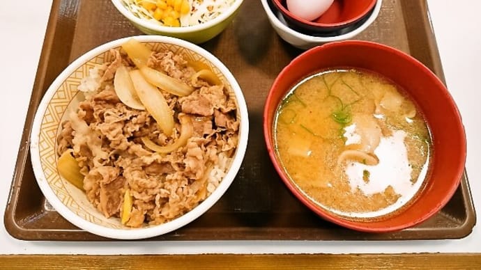 すき家（新川永代橋店）で牛丼ランチセット(並盛)＋とん汁変更（2022年6月21日）