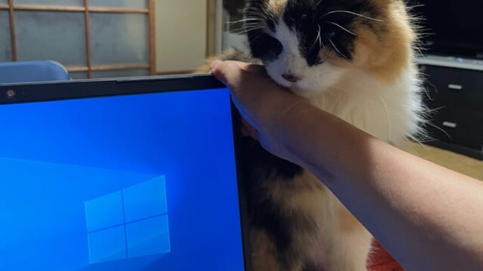 留守番する方を選ぶ年になりました