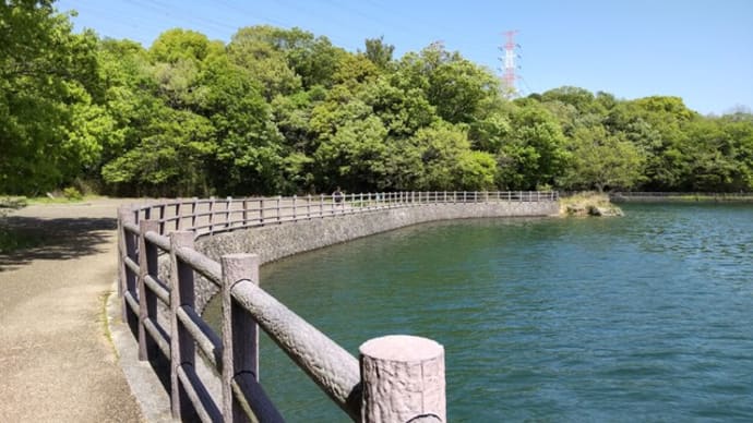 光明池の自然散策